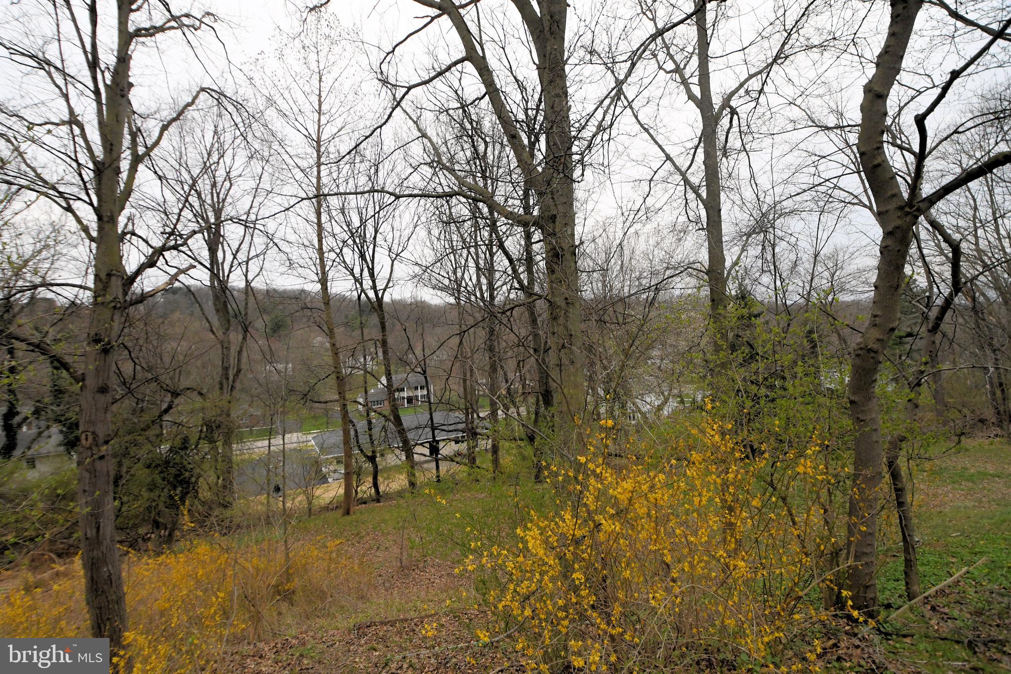 8816 Wainwright Road Glenside, PA 19038 - Photo 48 of 49 Gallery Image 48