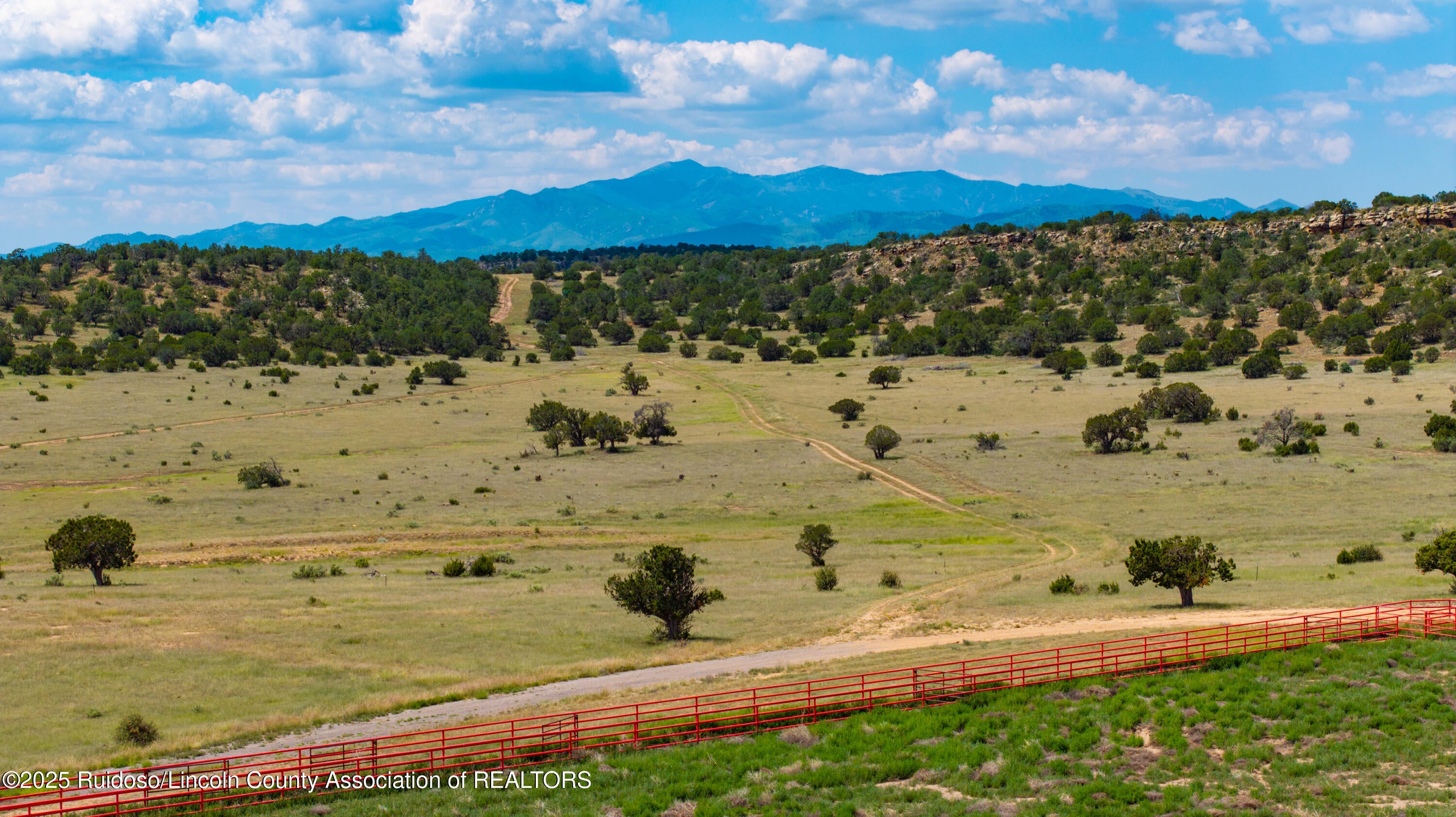 331 Pine Lodge Road Capitan, NM 88316 - Photo 128 of 156 Gallery Image 128
