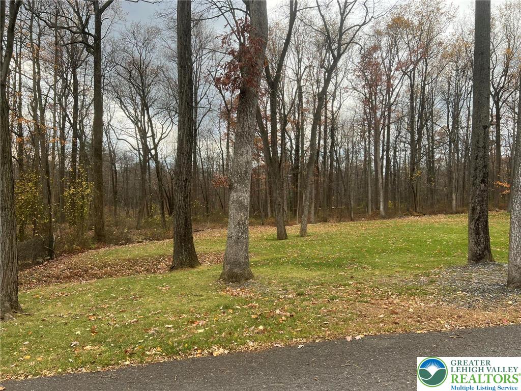 Deer Path Drive Walnutport, PA 18088 - Photo 2 of 5 a backyard of a house with lots of green space