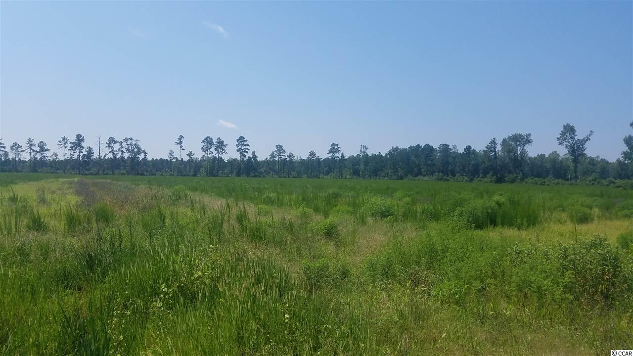 18.03-acres Fowler Road Conway, SC 29526 - Photo 2 of 4 Gallery Image 2