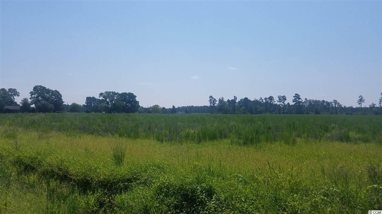 18.03-acres Fowler Road Conway, SC 29526 - Photo 3 of 4 Gallery Image 3