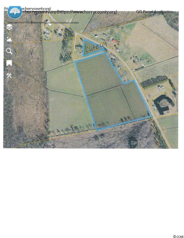 18.03-acres Fowler Road Conway, SC 29526 - Photo 4 of 4 Gallery Image 4