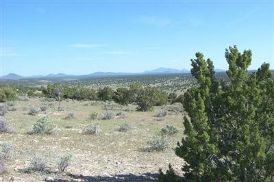 8855 South Northstar Road Williams, AZ 86046 - Photo 1 of 8 Primary Photo