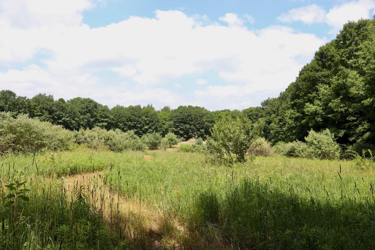 4718 Church Road Six Lakes, MI 48886 - Photo 54 of 76 049a
