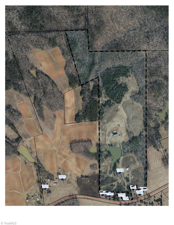 7791 Highway 700 Ruffin, NC 27326 - Photo 2 of 44