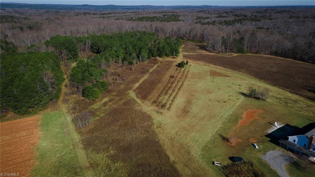 7791 Highway 700 Ruffin, NC 27326 - Photo 13 of 44