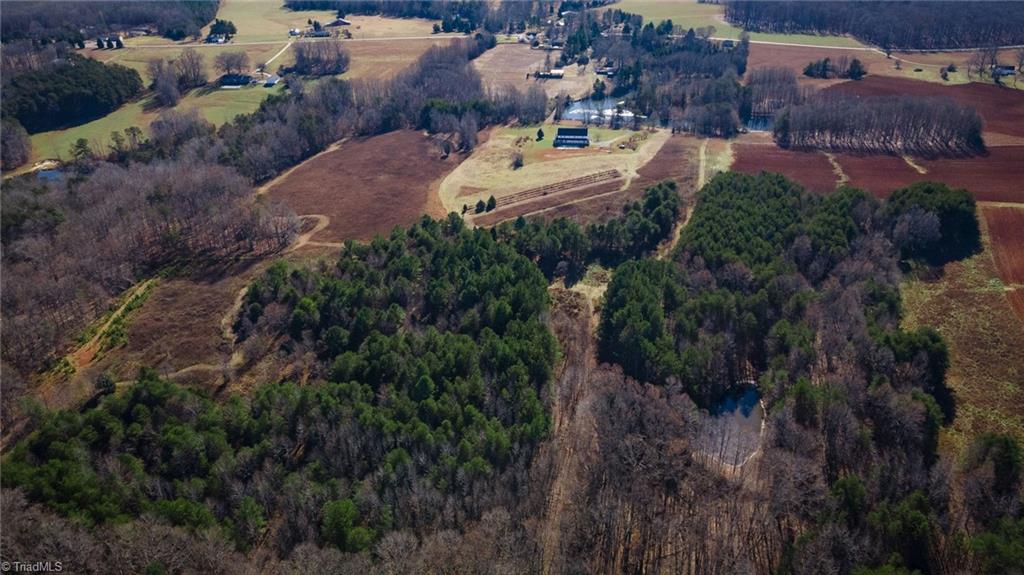 7791 Highway 700 Ruffin, NC 27326 - Photo 17 of 44