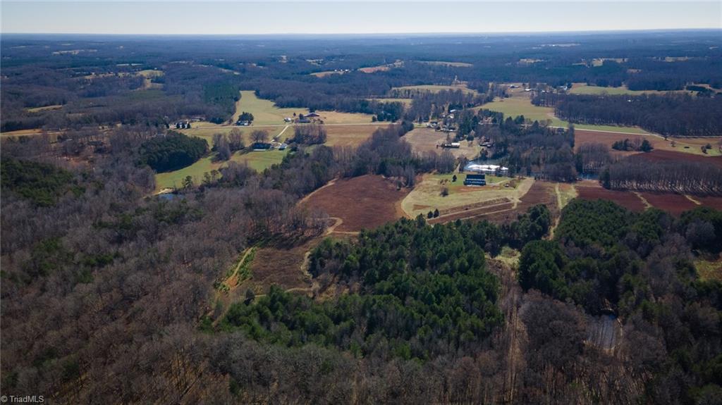 7791 Highway 700 Ruffin, NC 27326 - Photo 18 of 44