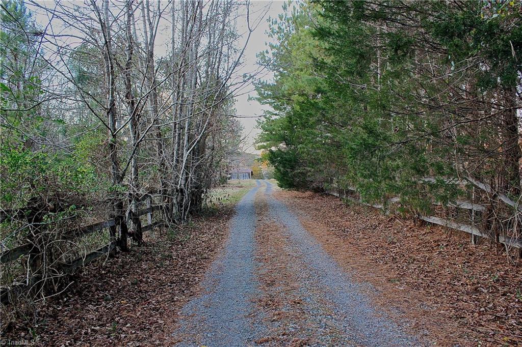7791 Highway 700 Ruffin, NC 27326 - Photo 21 of 44