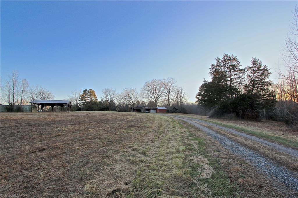 7791 Highway 700 Ruffin, NC 27326 - Photo 26 of 44