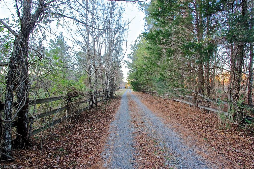 7791 Highway 700 Ruffin, NC 27326 - Photo 33 of 44