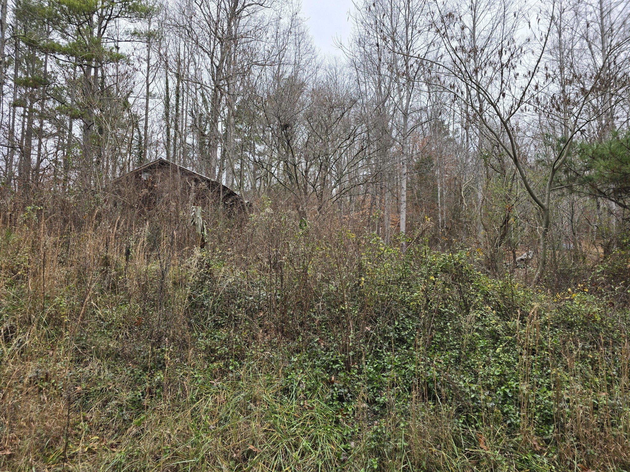 127 County Road 179 Decatur, TN 37322 - Photo 4 of 8 Gallery Image 4