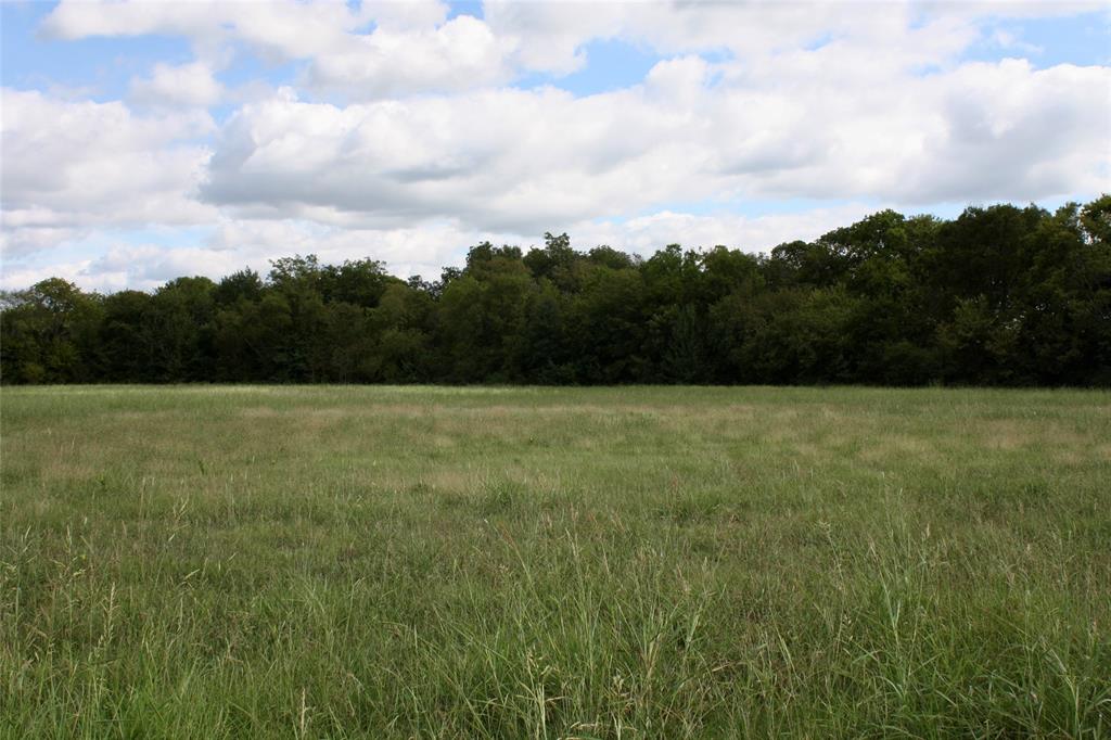 Tbd North Center Street Bonham, TX 75418 - Photo 4 of 6 a view of a field with a tree in the background