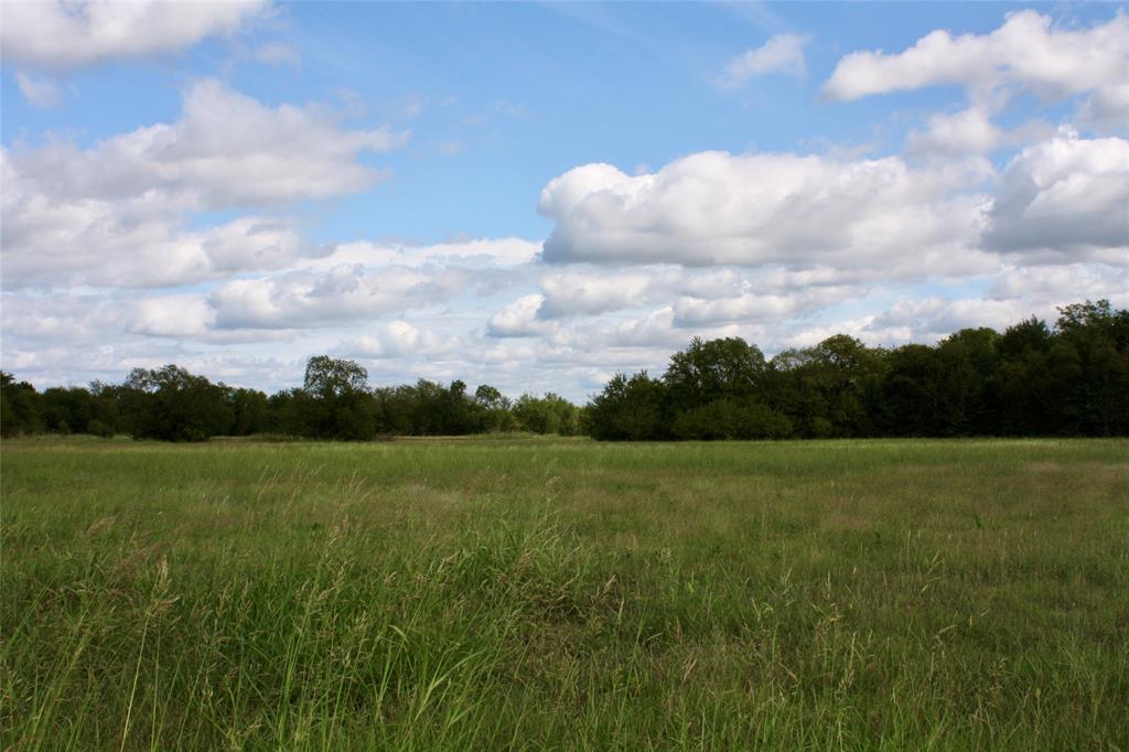Tbd North Center Street Bonham, TX 75418 - Photo 5 of 6 a view of an outdoor space and a yard