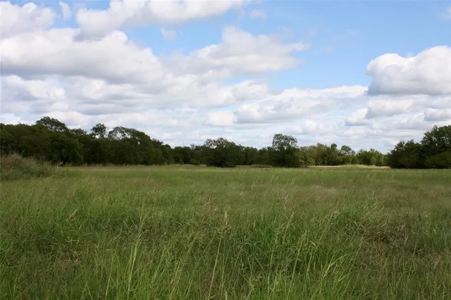 a view of field with green space