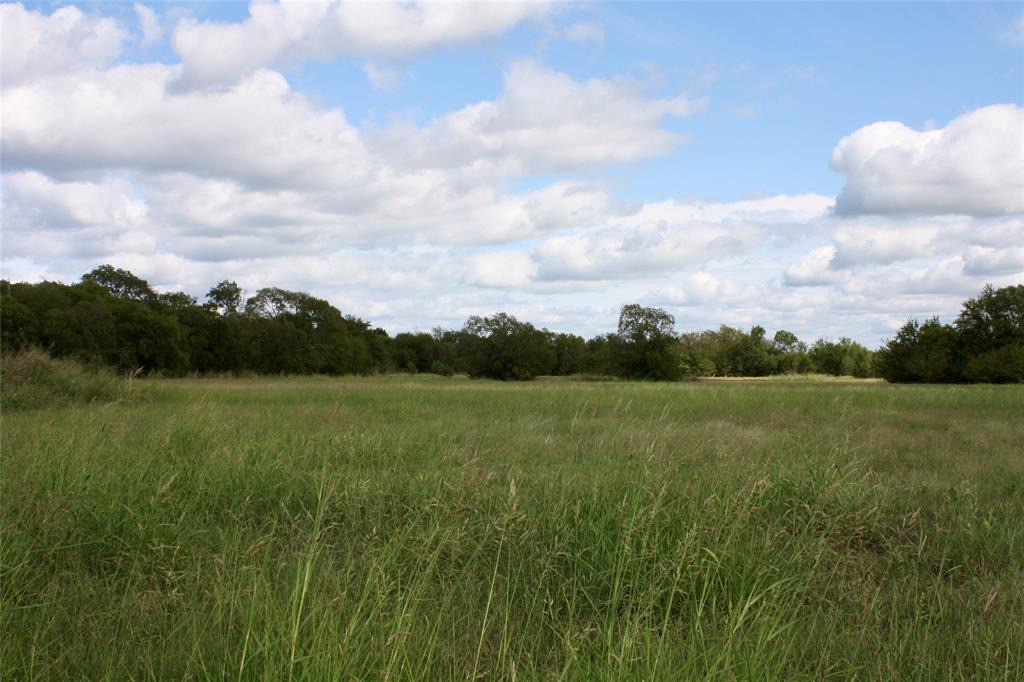 Tbd North Center Street Bonham, TX 75418 - Photo 6 of 6 a view of field with green space