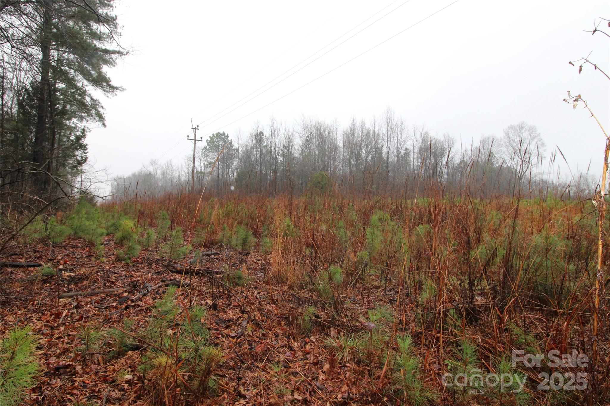 4.78-ac Neal Road, Unit LOT 5 Bessemer City, NC 28016 - Photo 5 of 6