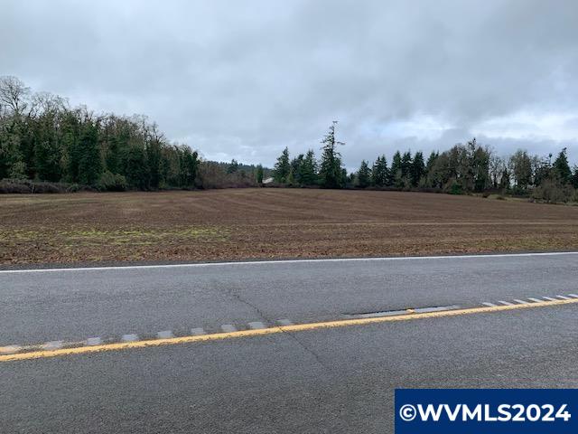 0 Howell Prairie Salem, OR 97317 - Photo 1 of 1