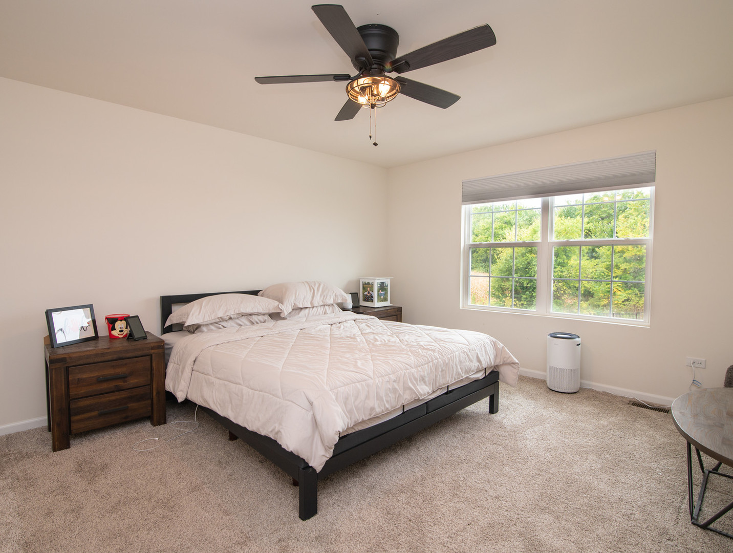 26536 West Red Apple Road Plainfield, IL 60585 - Photo 13 of 36