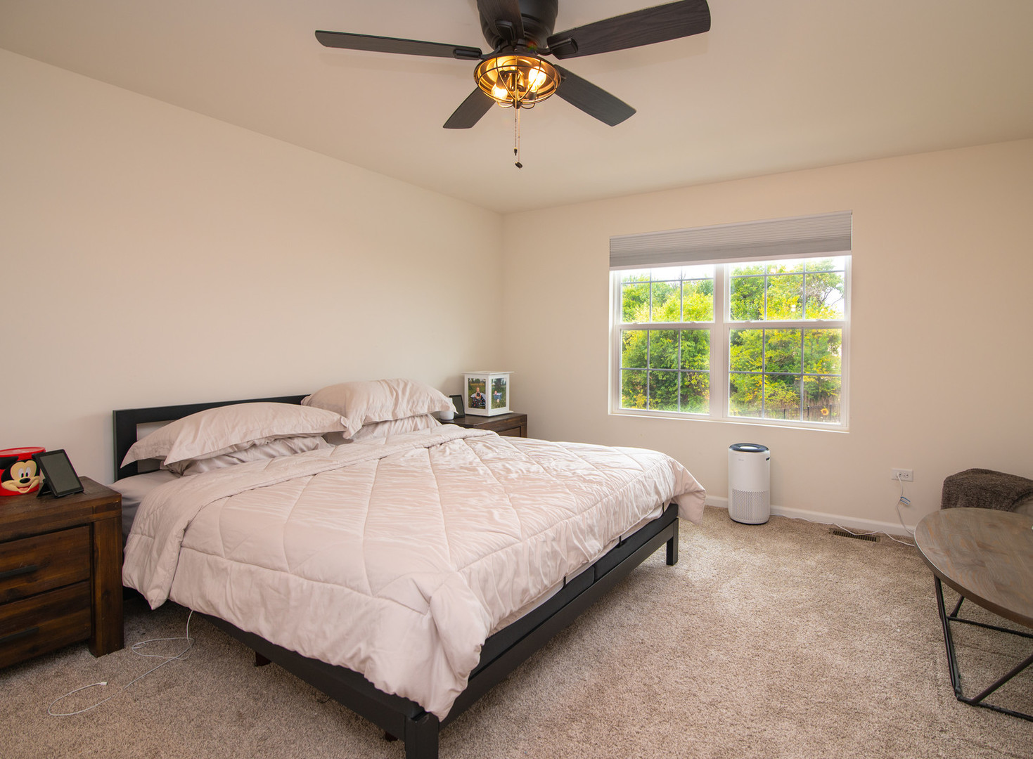 26536 West Red Apple Road Plainfield, IL 60585 - Photo 14 of 36