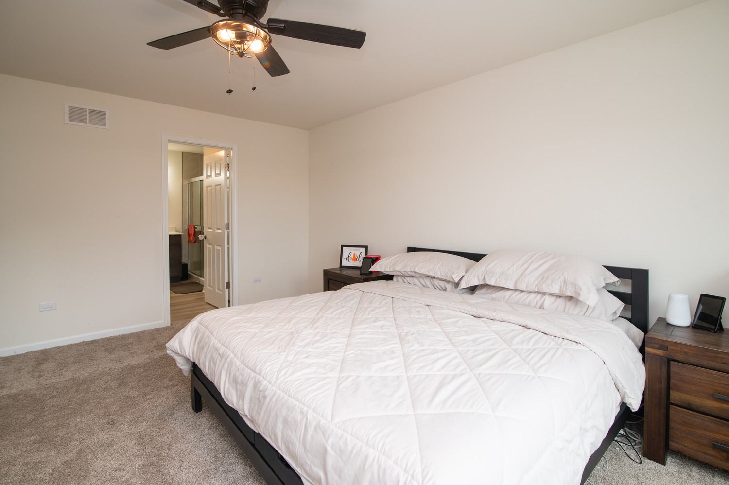 26536 West Red Apple Road Plainfield, IL 60585 - Photo 15 of 36