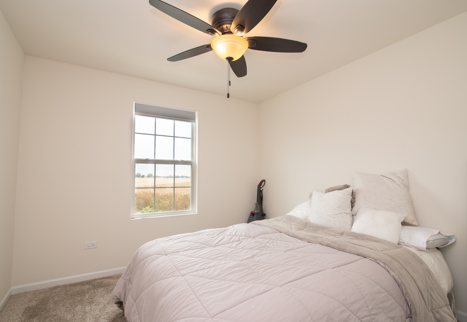 26536 West Red Apple Road Plainfield, IL 60585 - Photo 19 of 36