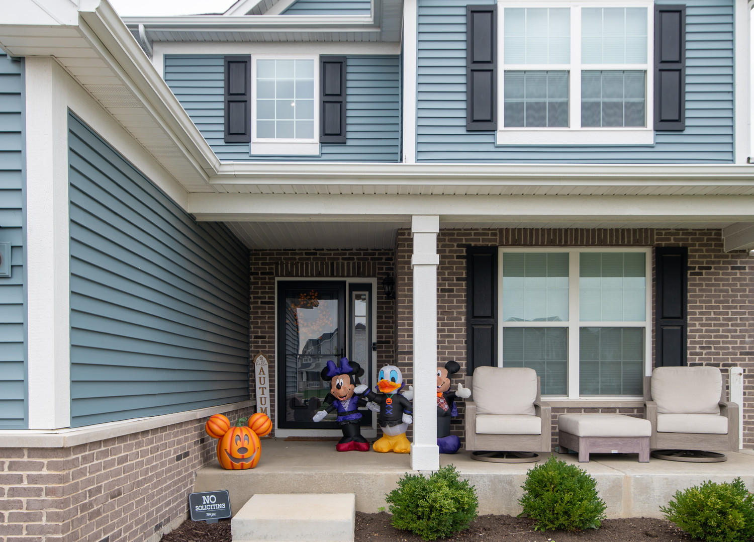 26536 West Red Apple Road Plainfield, IL 60585 - Photo 2 of 36