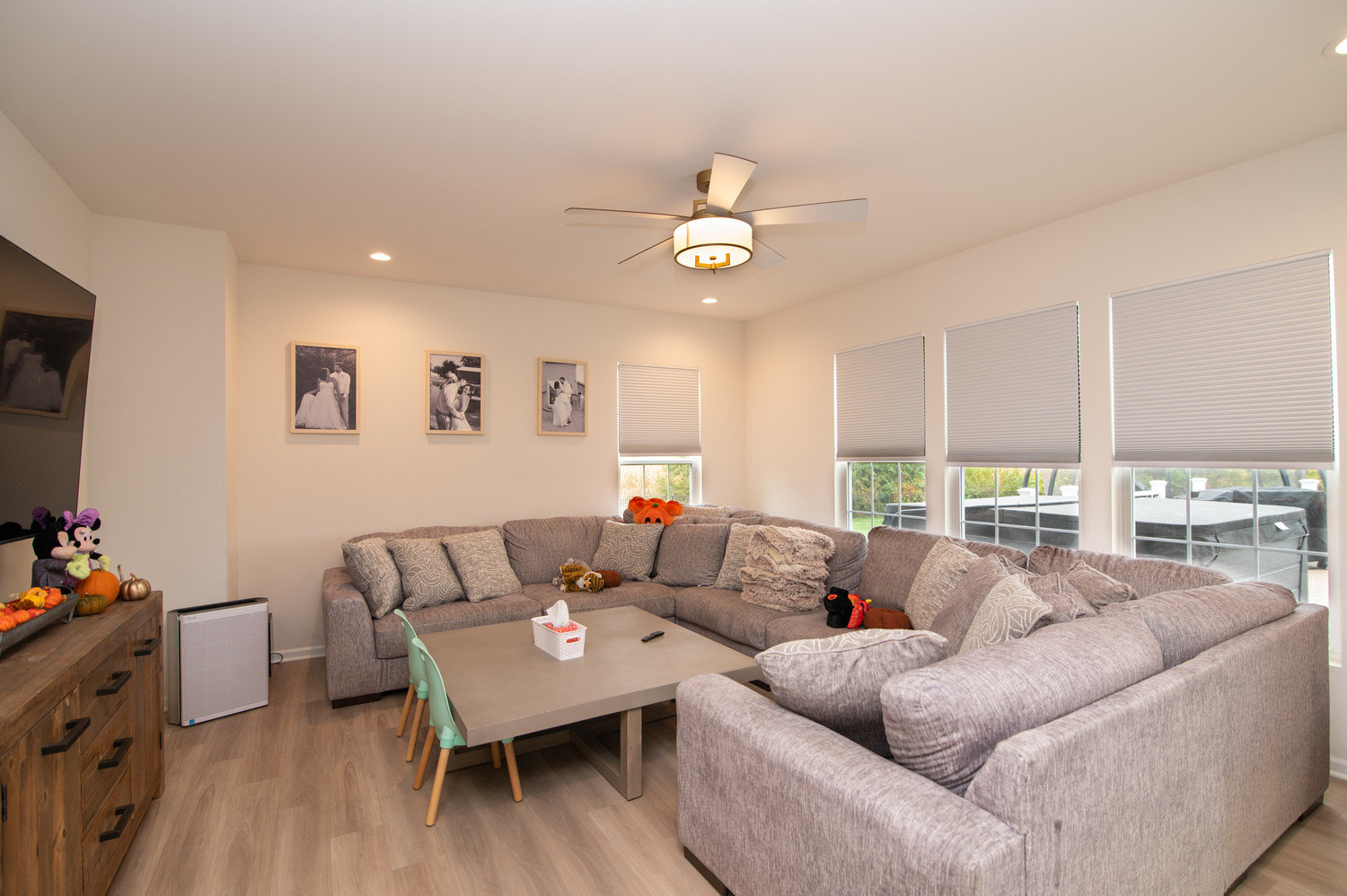 26536 West Red Apple Road Plainfield, IL 60585 - Photo 4 of 36