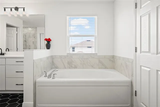 a view of a backyard with plants and a garden