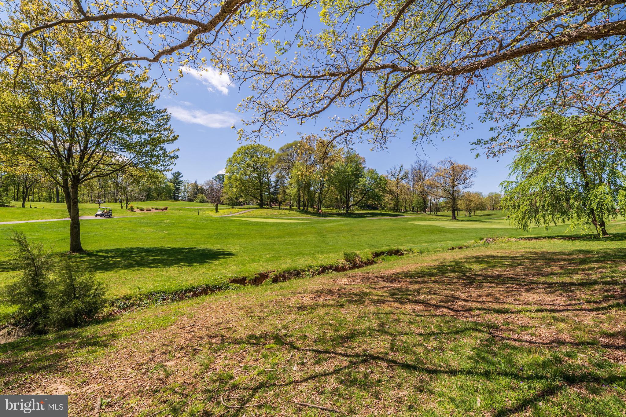 2124 Golf Course Drive Reston, VA 20191 - Photo 30 of 35 Gallery Image 30