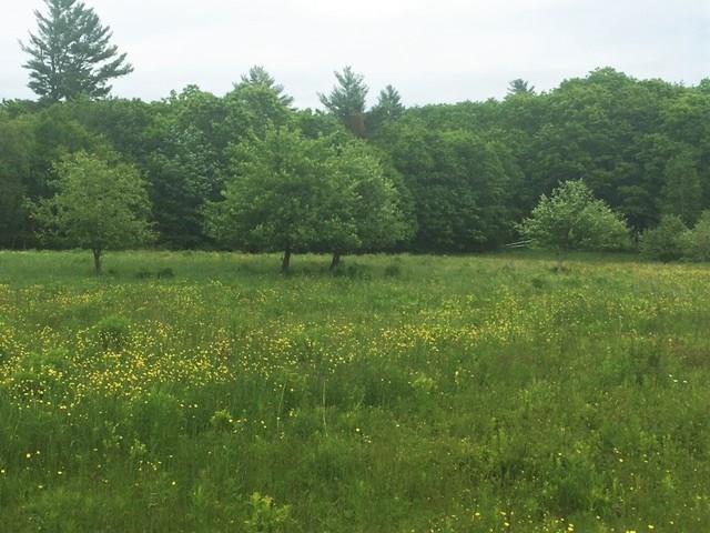 0 Hartshorn Road Morrill, ME 04952 - Photo 10 of 20 Photo