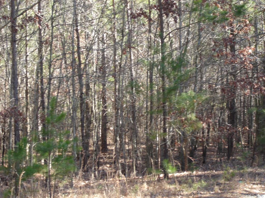 33 Plainview Road Monroe, NC 28110 - Photo 4 of 9 Gallery Image 4