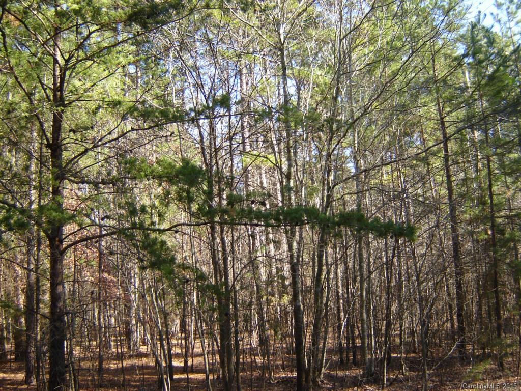33 Plainview Road Monroe, NC 28110 - Photo 9 of 9 Gallery Image 9