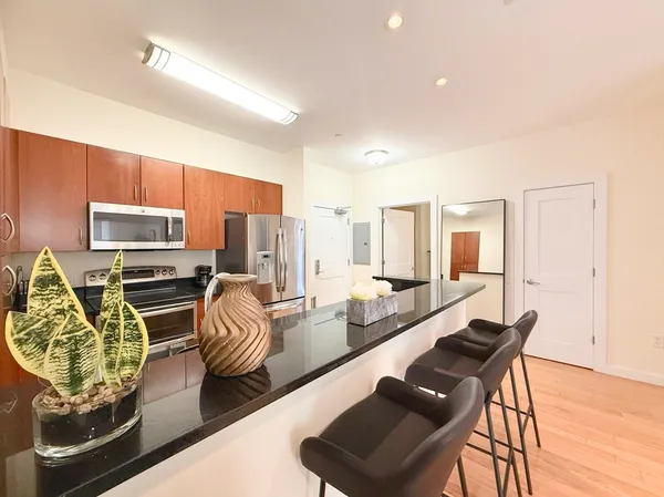 $4,600 | 9 Miner Street, Unit 406, Boston, MA 02215