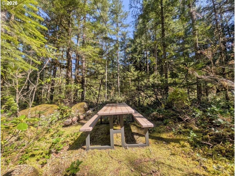 73867 Nf-20e Rhododendron, OR 97049 - Photo 38 of 41 Gallery Image 38