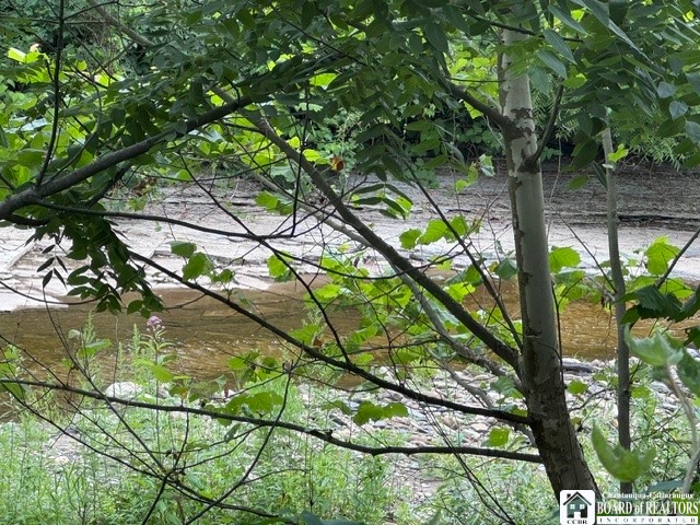 10356 Chestnut Road Pomfret, NY 14048 - Photo 16 of 43 Gallery Image 16
