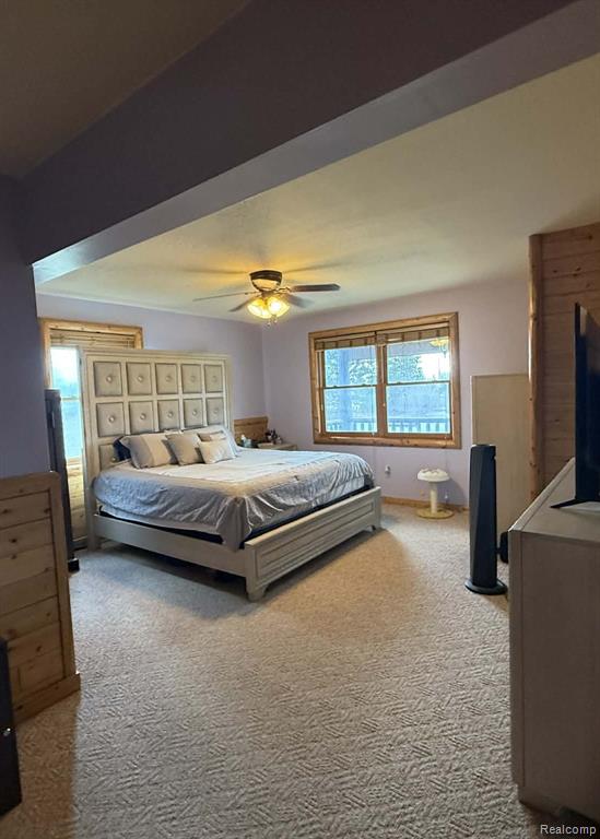 4765 Mertz Road Mayville, MI 48744 - Photo 9 of 22 Gallery Image 9