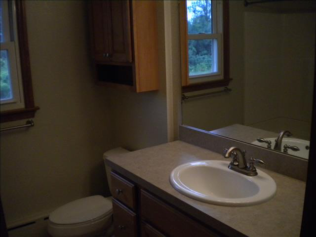 4829 Rauch Road Petersburg, MI 49270 - Photo 10 of 11 20366444-9.JPG