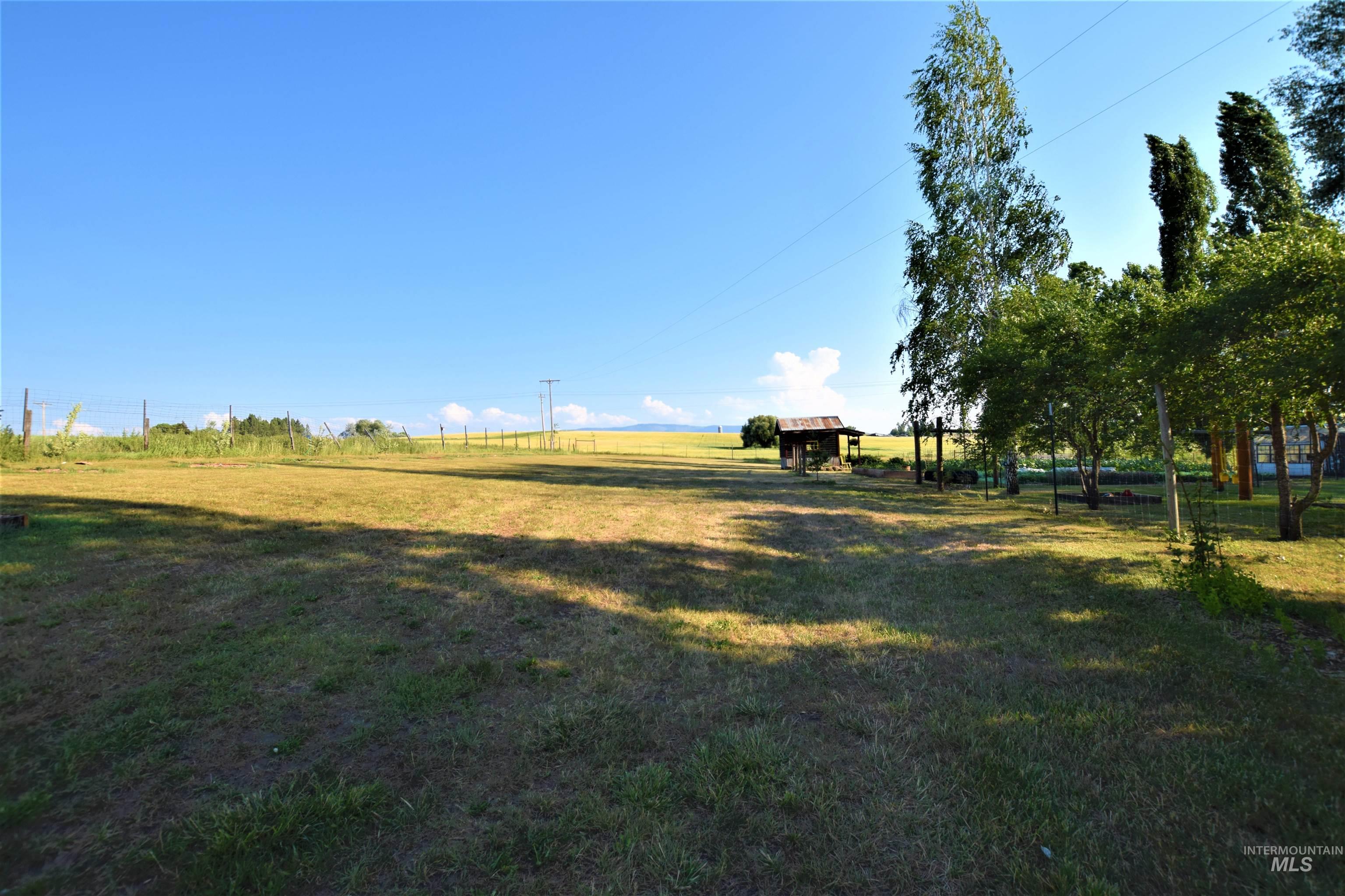 67 Jessup Road Grangeville, ID 83530 - Photo 49 of 49 Expansive grassy area with mature trees and a rustic shed structure