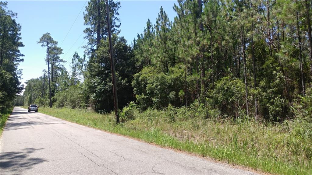 62593 Ordogne Ruppert Road Lacombe, LA 70445 - Photo 1 of 2 Gallery Image 1