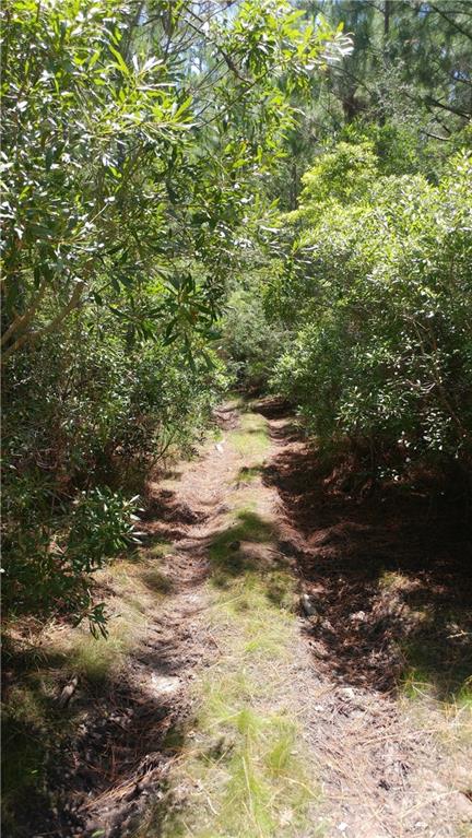 62593 Ordogne Ruppert Road Lacombe, LA 70445 - Photo 2 of 2 Gallery Image 2