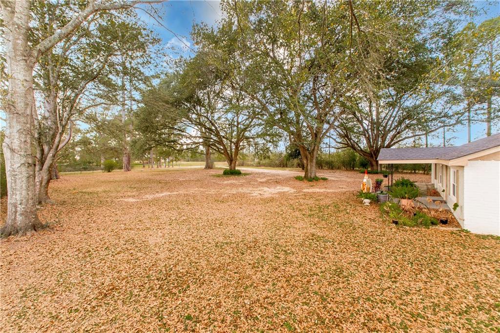 71402 South Lewiston Road Kentwood, LA 70444 - Photo 16 of 19