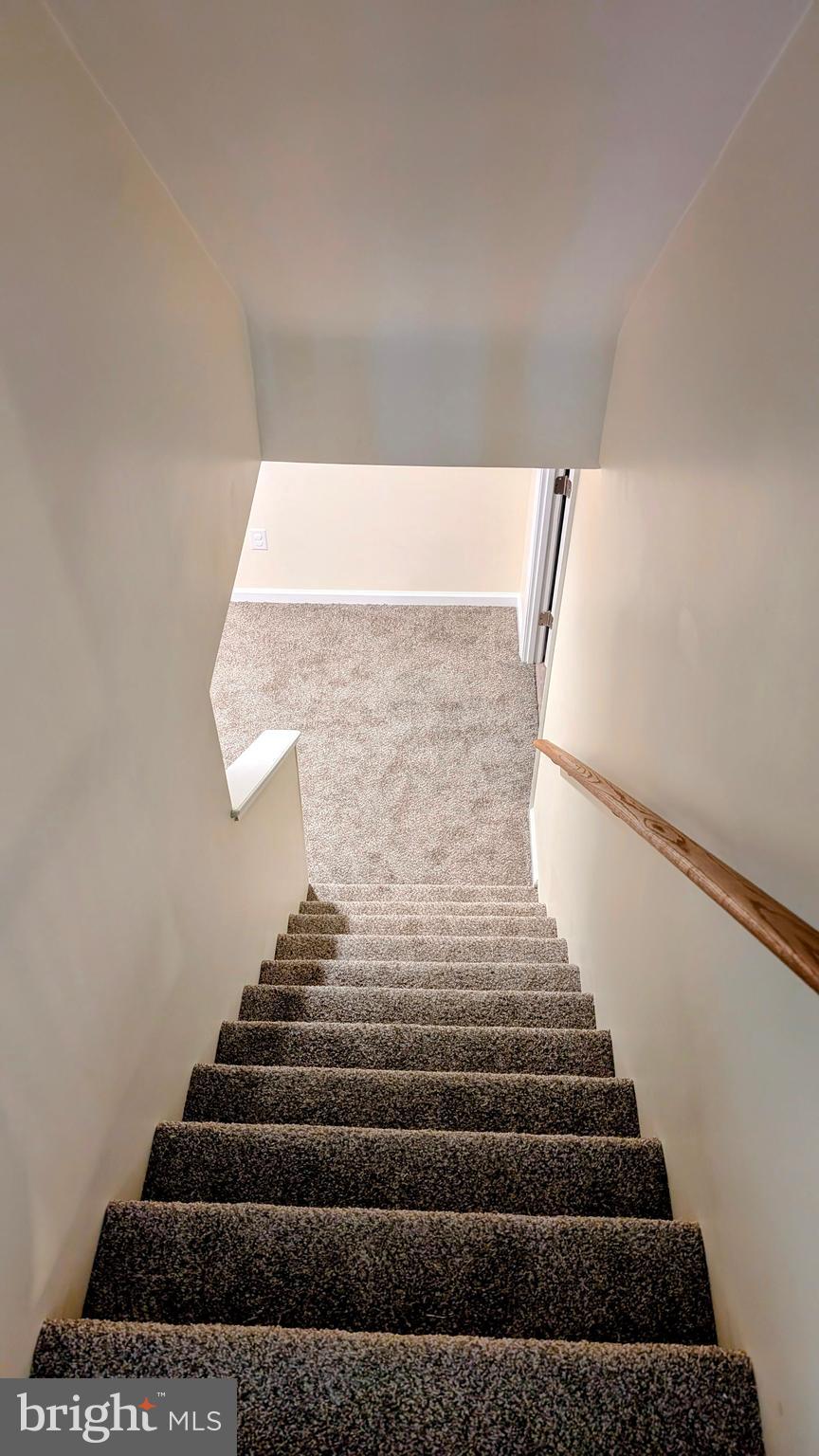 148 Cardinal Road Chalfont, PA 18914 - Photo 24 of 32 Steps to Finished Basement