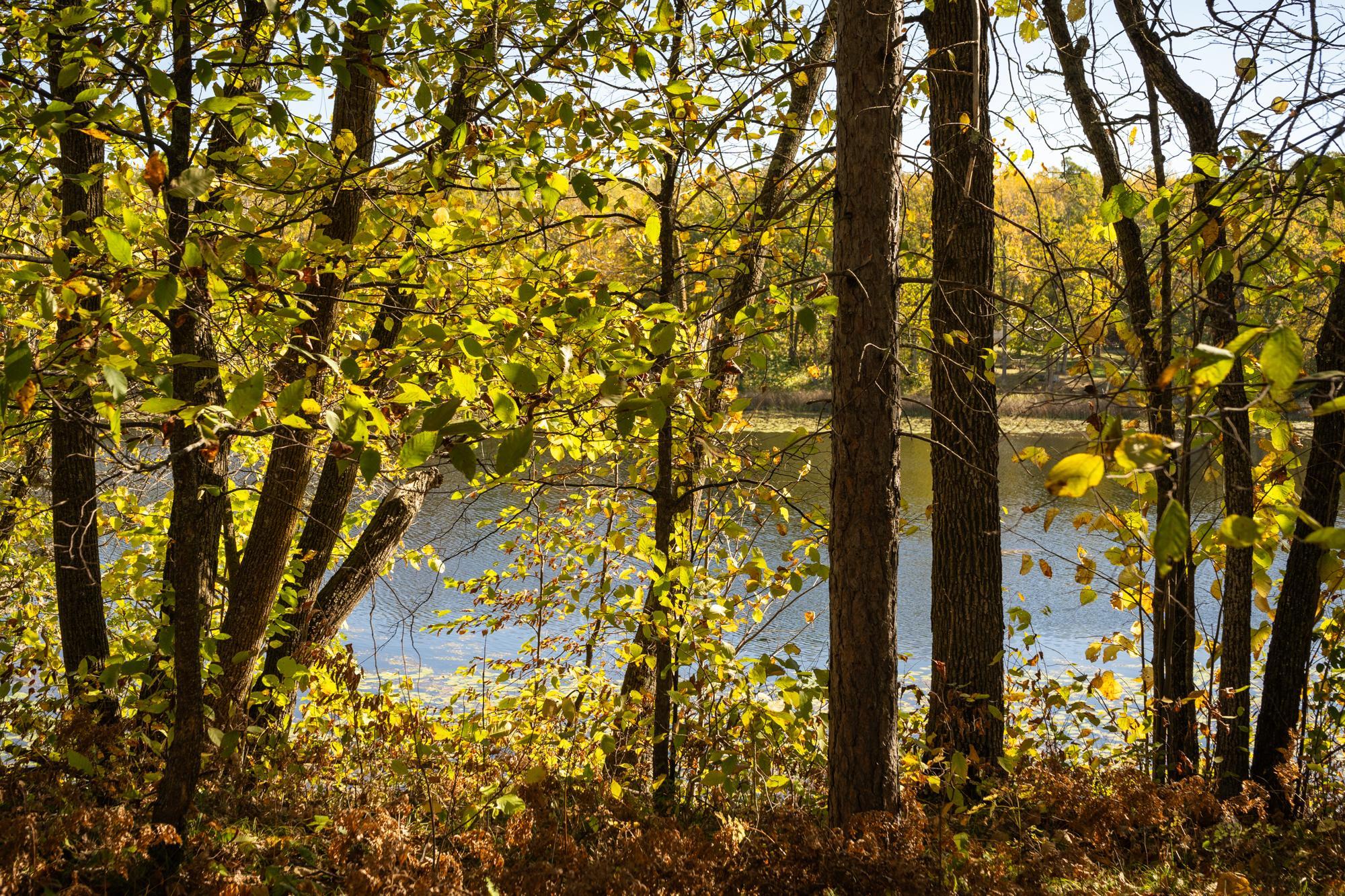 Tract B Brietbach Road Park Rapids, MN 56470 - Photo 14 of 26