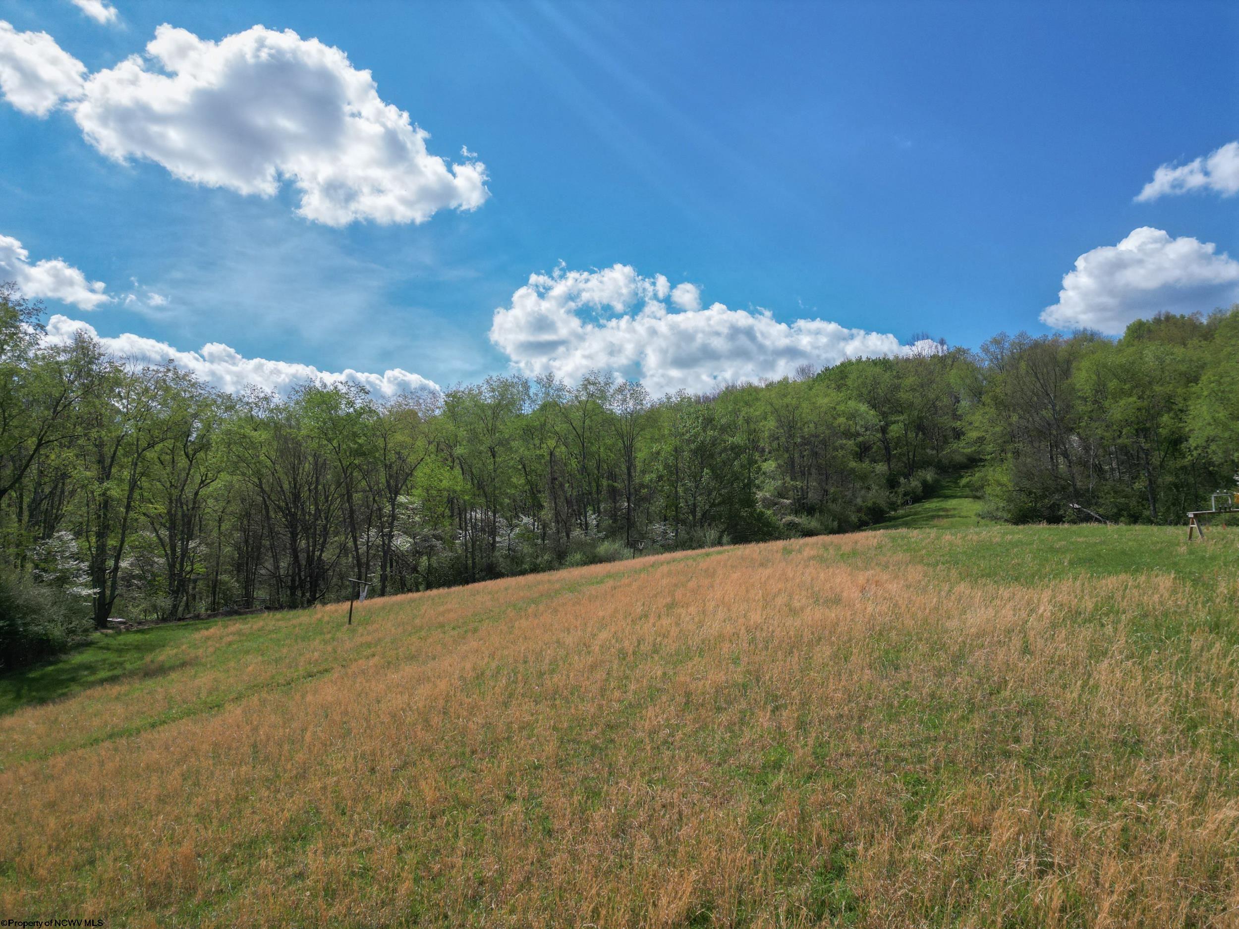 2397 Stevens Run Road Mount Clare, WV 26408 - Photo 45 of 50 Gallery Image 45