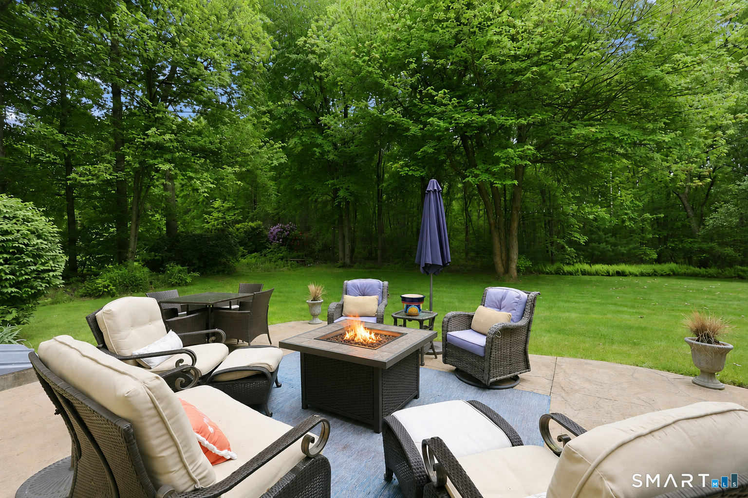 169 Wildwood Road Tolland, CT 06084 - Photo 5 of 35