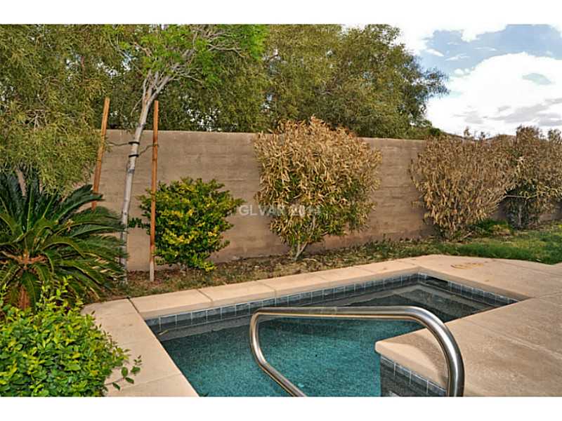 10 Mohansic Road Henderson, NV 89052 - Photo 11 of 21 Swimming Pool/Hot Tub/Sauna.