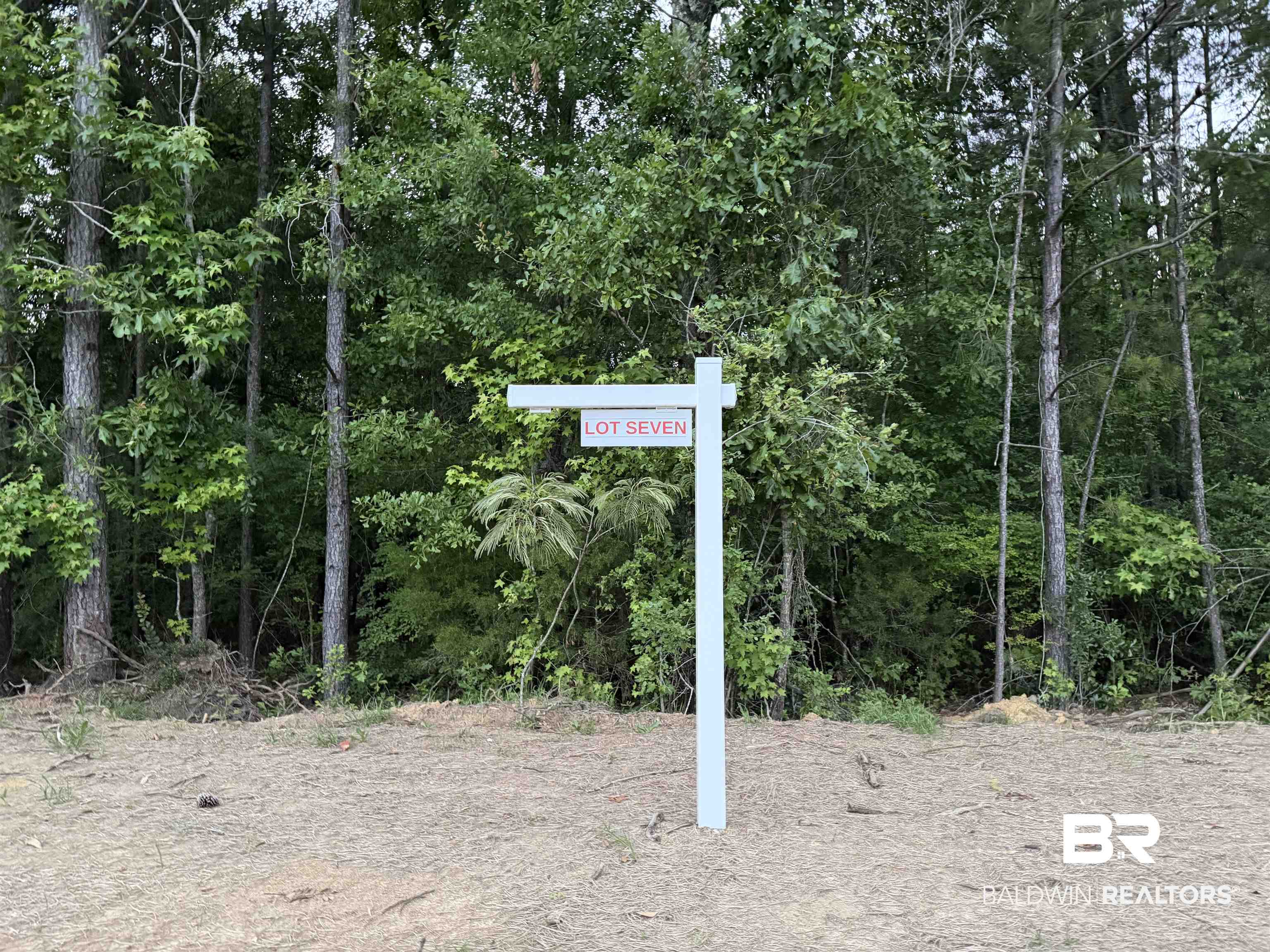 -pine Grove Rd Pine Grove Rd Pine Grove Road Bay Minette, AL 36507 - Photo 12 of 14