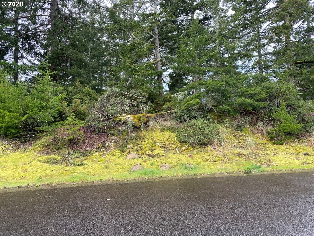 Willow Loop, Unit 104 Florence, OR 97439 - Photo 1 of 5 Gallery Image 1