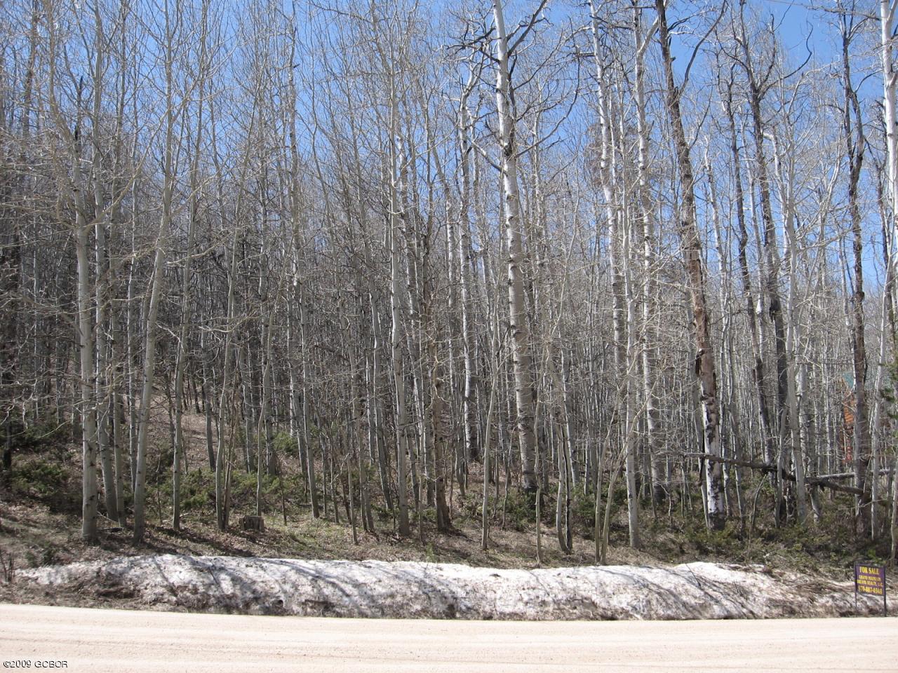496 Cty Road Granby, CO 80446 - Photo 1 of 2 Aspen Sloping Lot